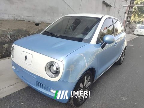 2021 ORA Black Cat 2019 301km Standard Edition - ავტომობილი ჩინეთიდან