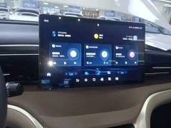 BYD Song Pro New Energy DM-i 110KM Glory Edition Exceed - ფოტო 12