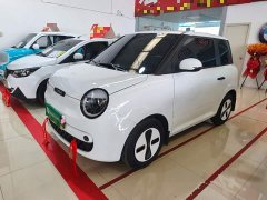 Changan Lumin Treasure Edition 205km Cool Love White CATL - ფოტო 1