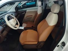 Changan Lumin Treasure Edition 205km Cool Love White CATL - ფოტო 14
