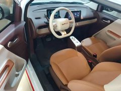 Changan Lumin Treasure Edition 205km Cool Love White CATL - ფოტო 15