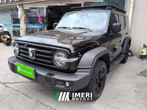 2023 Tank 300 Off-Road Edition 2.0T Conqueror - ავტომობილი ჩინეთიდან