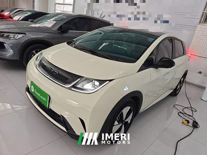 BYD Dolphin 420km Fashion Edition - ავტომობილი ჩინეთიდან