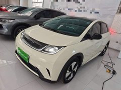 BYD Dolphin 420km Fashion Edition - ფოტო 1