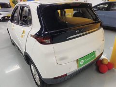 Yuehu 2022 300 Standard Edition - ფოტო 4