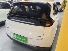 Yuehu 2022 300 Standard Edition - ფოტო 6