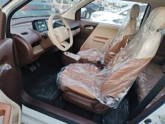 Changan Lumin Treasure Edition 301km Pearl Love White CATL - ფოტო 14