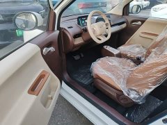 Changan Lumin Treasure Edition 301km Pearl Love White CATL - ფოტო 15