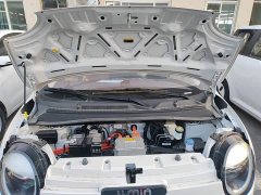 Changan Lumin Treasure Edition 301km Pearl Love White CATL - ფოტო 19