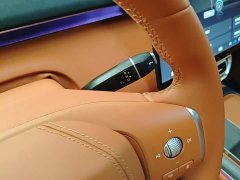 Deepal Deep Blue S09 Four-Wheel Drive Ultra Premium Edition - ფოტო 13