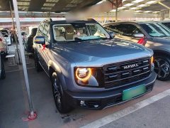 Great Wall Dachshund 2026 1.5T DCT Border Collie Edition - ფოტო 3