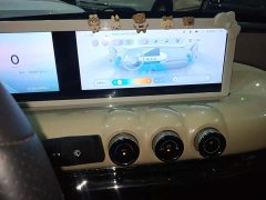 Wuling Binguo 410km Lingxi Premium Edition - ფოტო 12