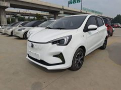 Changan Benben E-Star 2020 Heartbeat Edition Ternary Lithium - ფოტო 1