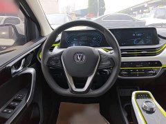Changan Benben E-Star 2020 Heartbeat Edition Ternary Lithium - ფოტო 10