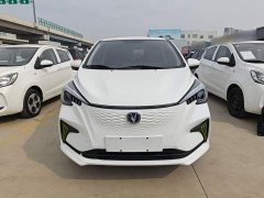 Changan Benben E-Star 2020 Heartbeat Edition Ternary Lithium - ფოტო 2