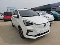 Changan Benben E-Star 2020 Heartbeat Edition Ternary Lithium - ფოტო 3