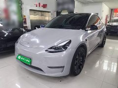 Tesla Model Y Performance All-Wheel Drive - ფოტო 1