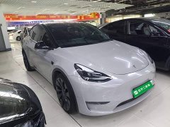 Tesla Model Y Performance All-Wheel Drive - ფოტო 3