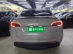 Tesla Model Y Performance All-Wheel Drive - ფოტო 5