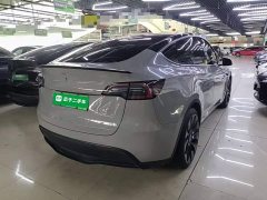 Tesla Model Y Performance All-Wheel Drive - ფოტო 6