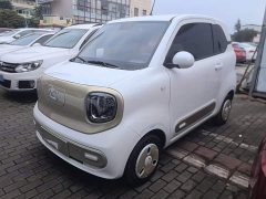 FAW Besturn Xiaoma 222km Dynamic Edition - ფოტო 1