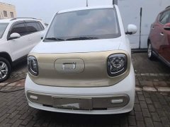 FAW Besturn Xiaoma 222km Dynamic Edition - ფოტო 2