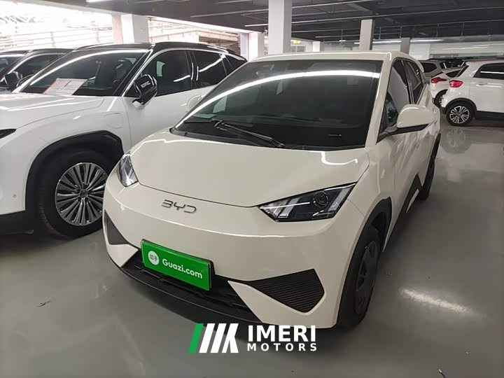 BYD Seagull Smart Drive 305km Vitality Edition - ავტომობილი ჩინეთიდან