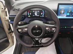 BYD Seagull Smart Drive 305km Vitality Edition - ფოტო 10