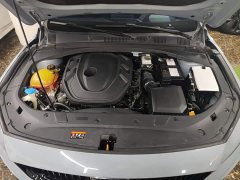 Geely Xingrui 2.0T Diesel Spacetime Edition Bright Moon - ფოტო 19