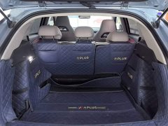 BYD Yuan Plus Glory Edition 510KM Transcend - ფოტო 18