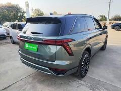 Great Wall WEY Blue Mountain Four-Wheel Drive Max - ფოტო 6