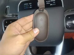 Li Auto L7 Max - ფოტო 8