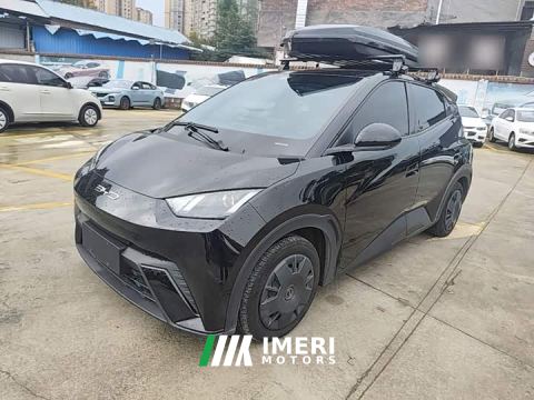 2024 BYD Seagull Vitality Edition