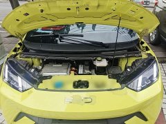 BYD Seagull Flying Edition - ფოტო 19