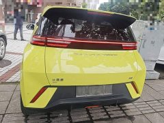 BYD Seagull Flying Edition - ფოტო 5