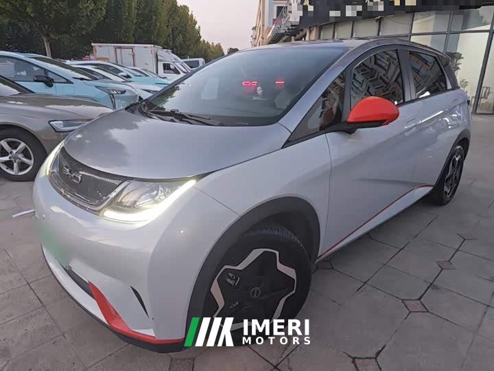 BYD Dolphin 405km Freedom Edition - ავტომობილი ჩინეთიდან