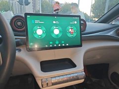 BYD Dolphin 405km Freedom Edition - ფოტო 12
