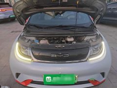 BYD Dolphin 405km Freedom Edition - ფოტო 19