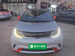 BYD Dolphin 405km Freedom Edition - ფოტო 2