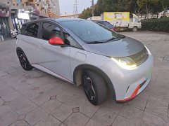 BYD Dolphin 405km Freedom Edition - ფოტო 3