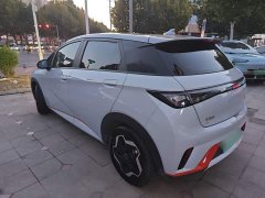 BYD Dolphin 405km Freedom Edition - ფოტო 4