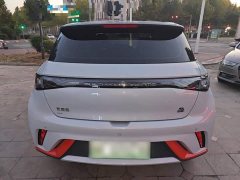 BYD Dolphin 405km Freedom Edition - ფოტო 5