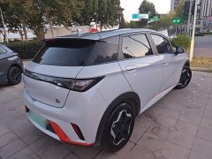BYD Dolphin 405km Freedom Edition - ფოტო 6