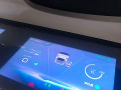 Wuling Binguo 333km Joy Edition - ფოტო 2