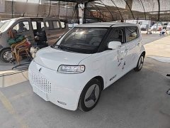 Ora White Cat 2020 360km Standard Edition - ფოტო 1