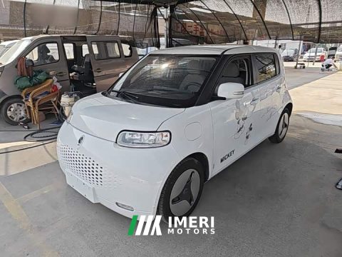 2021 Ora White Cat 2020 360km Standard Edition - ავტომობილი ჩინეთიდან