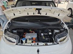 Ora White Cat 2020 360km Standard Edition - ფოტო 19