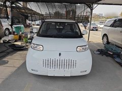 Ora White Cat 2020 360km Standard Edition - ფოტო 2