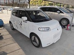 Ora White Cat 2020 360km Standard Edition - ფოტო 3