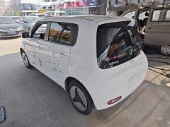 Ora White Cat 2020 360km Standard Edition - ფოტო 4